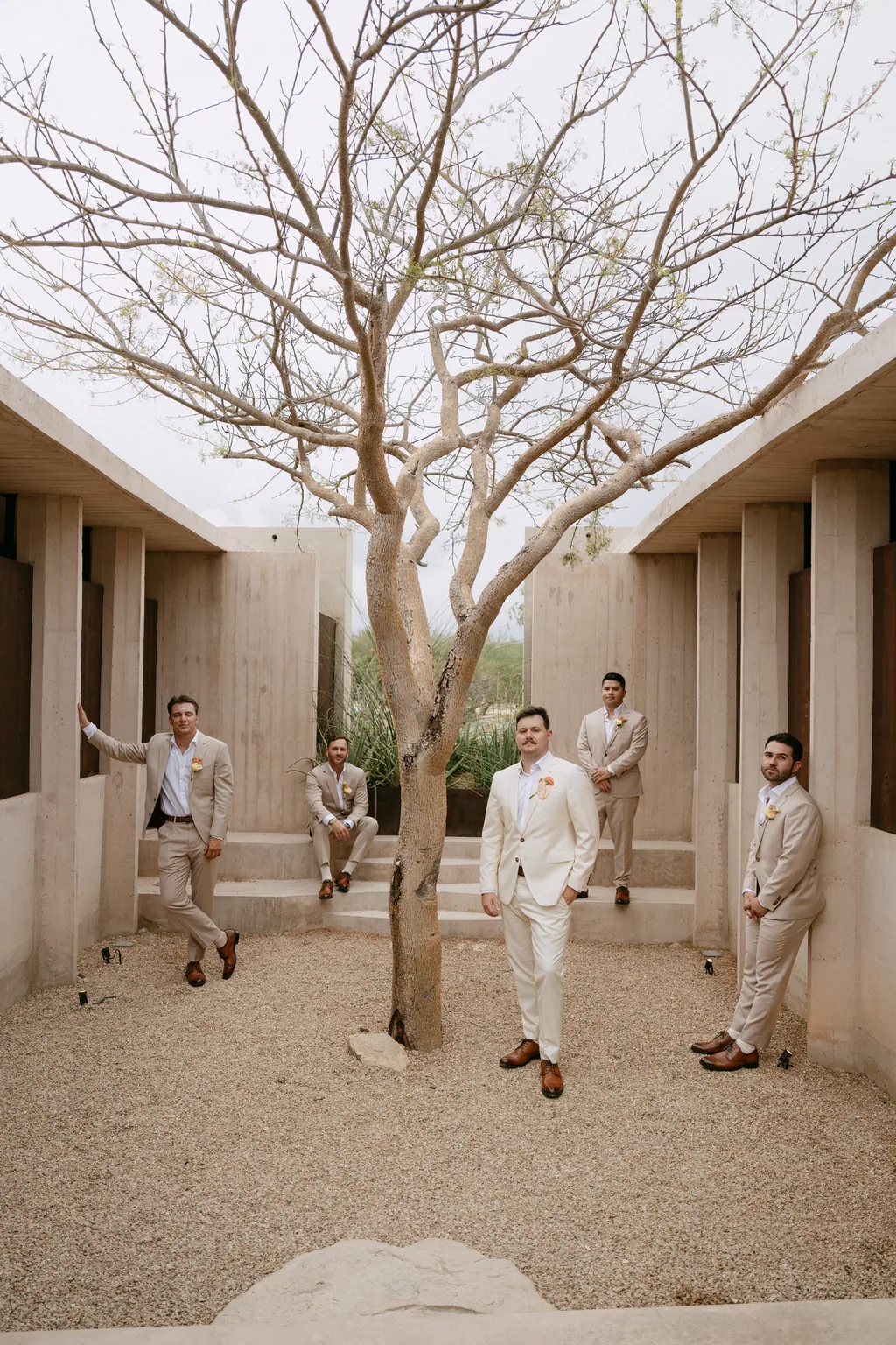 The groomsmen in the courtyard under the bare tree at Acre
